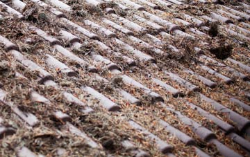 Littleferry roof cleaning companies