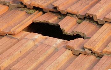roof repair Littleferry, Highland