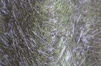 Littleferry fibreglass roof work